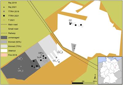 Ecosystemic resilience of a temperate post-fire forest under extreme weather conditions